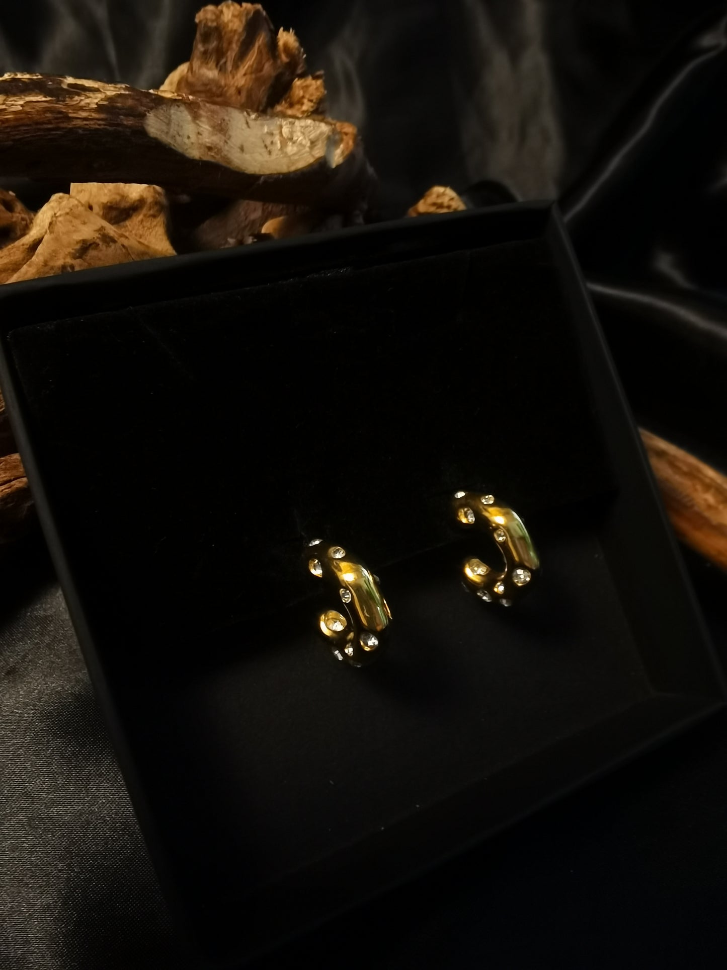 C hoop Zircon Earrings 18k gold-plated Titanium Steel GMJE034