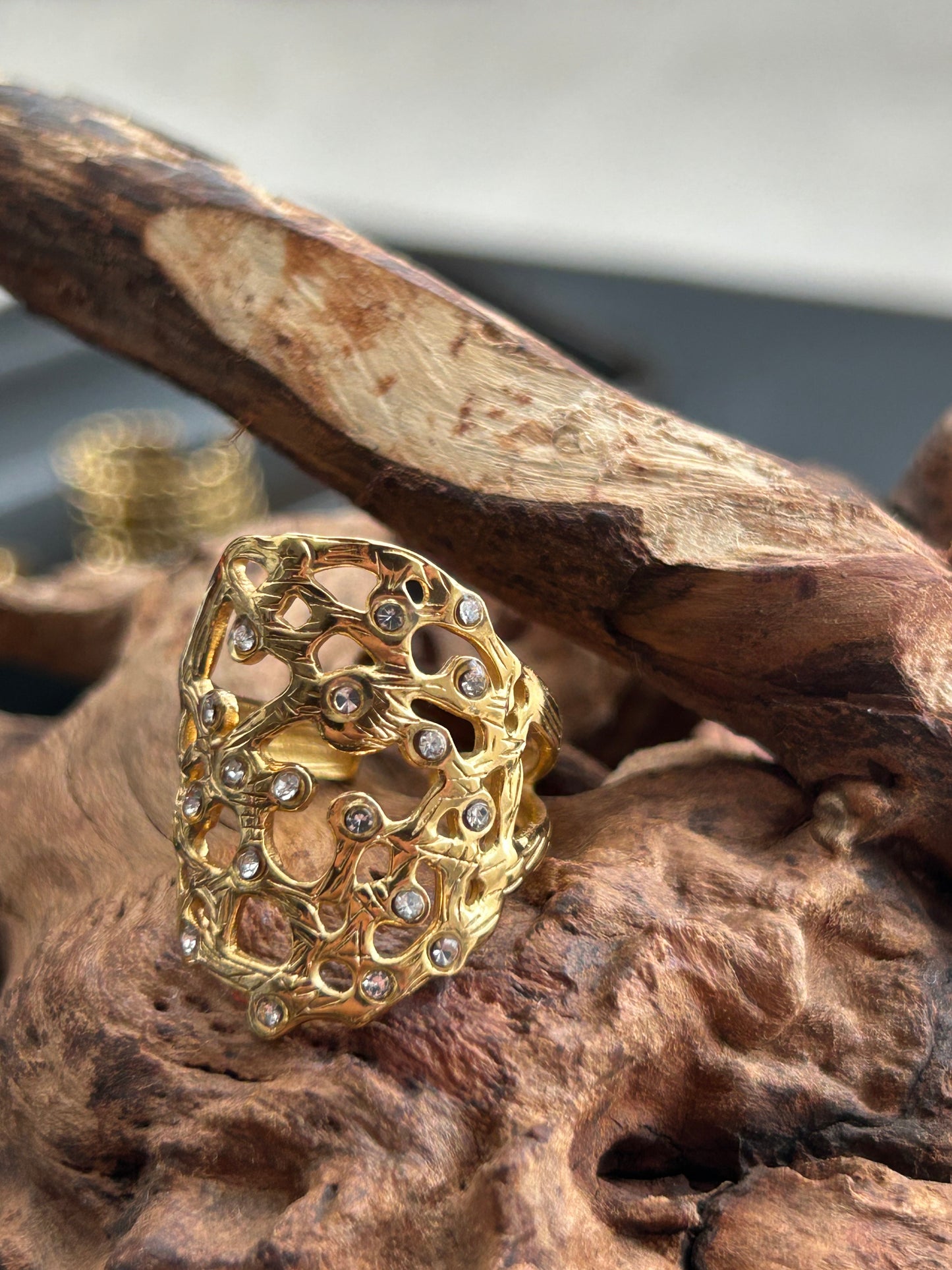Galaxy Ring 18 Karat vergoldeter Titanstahl GMJR006