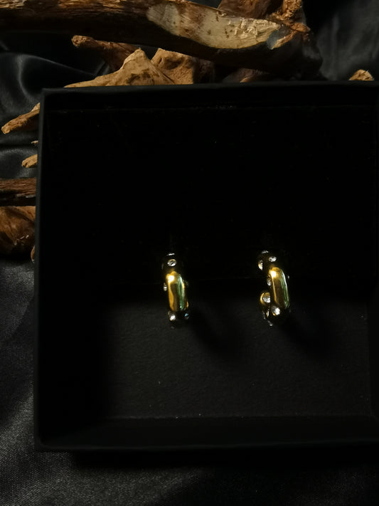 C hoop Zircon Earrings 18k gold-plated Titanium Steel GMJE034