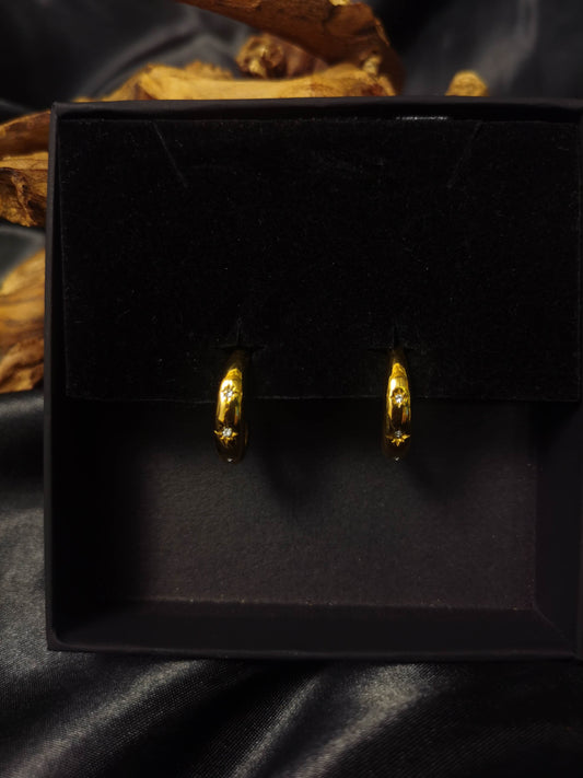 C hoop Earrings 18k gold-plated Titanium Steel Zircon GMJE046
