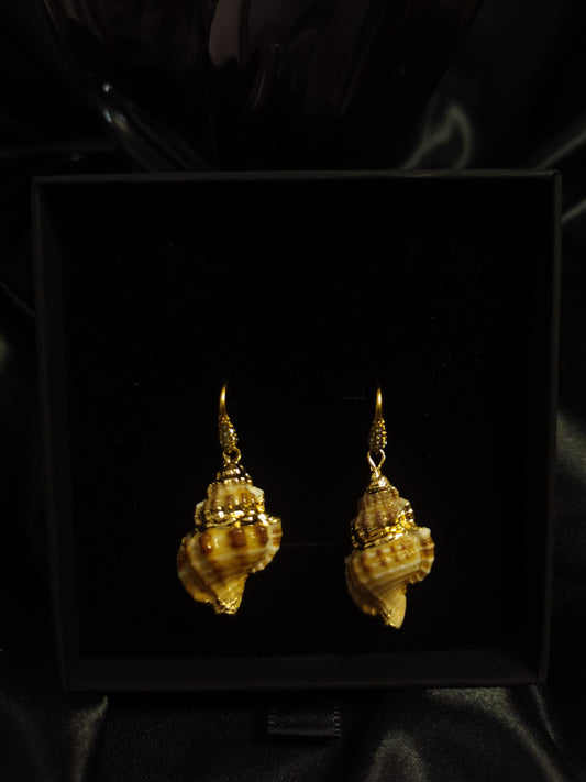 Hook Earrings 18k gold-plated Titanium Steel Shell GMJE048